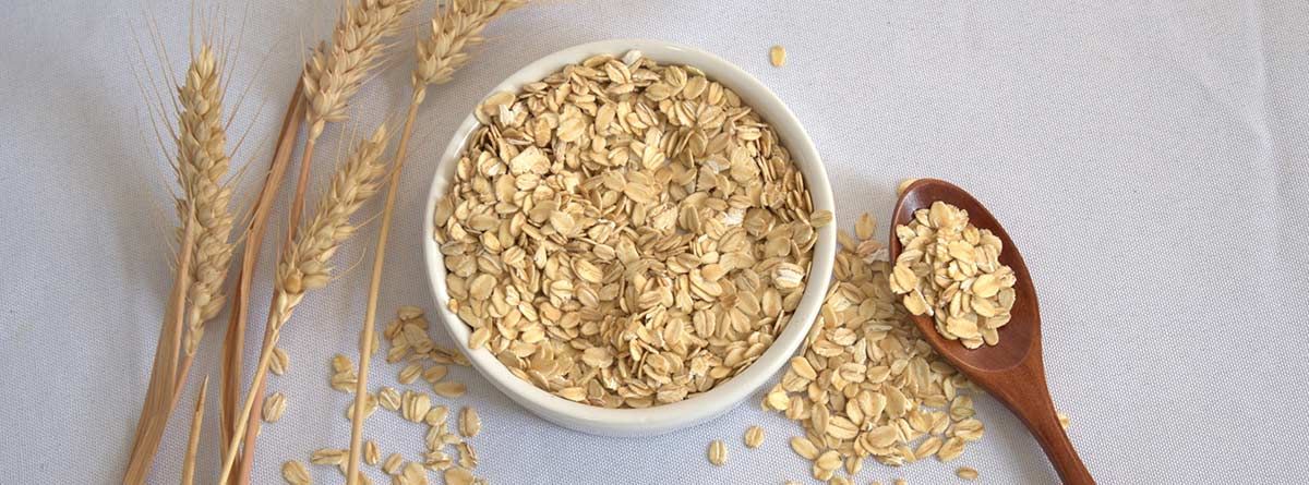 Valores nutricionales del germen de trigo