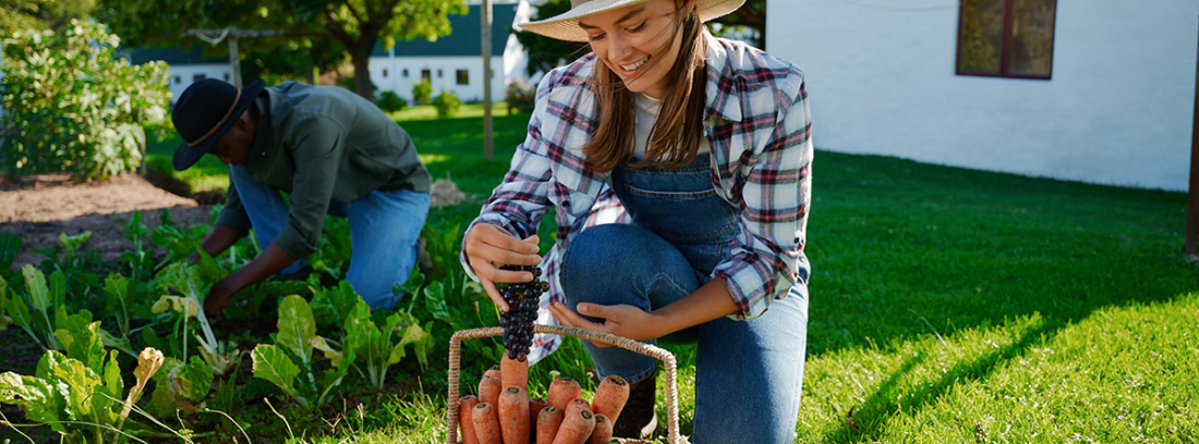 mujer joven recolectando distintos alimentos del huerto