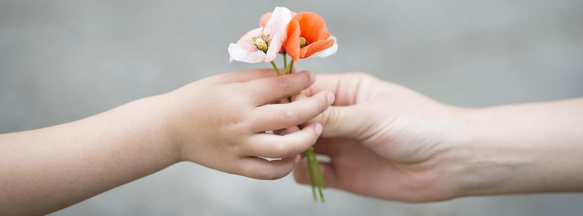 Apego, base del equilibrio emocional: manos de adulto y niño unidas por unas amapolas