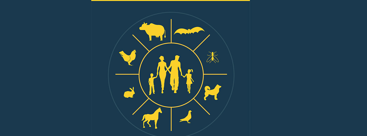 Zoonosis, infección transmitida por animales