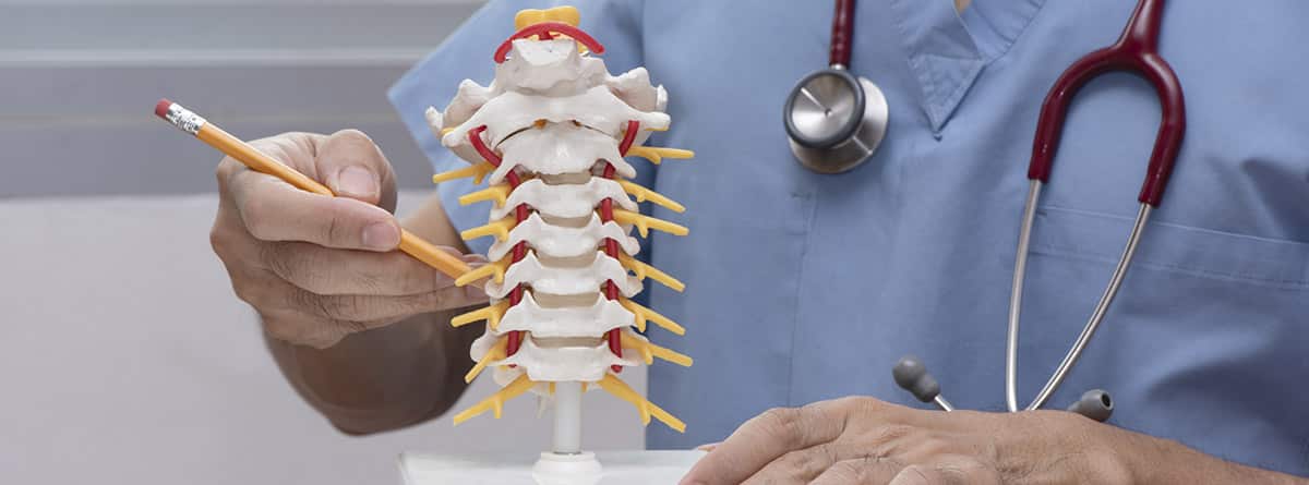 Cirugía de la columna cervical: Módulo de columna cervical