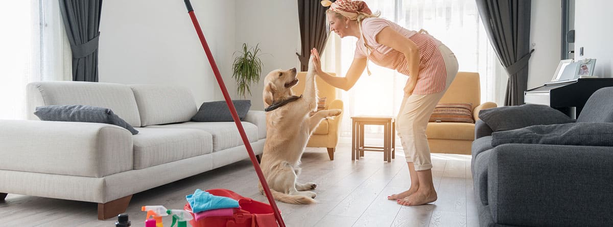 Higiene y mascotas: mujer chocando la mano con su perro en saloón y productos de limpieza alrededor