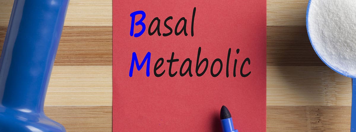 es el metabolismo basal calcula? -canalSALUD