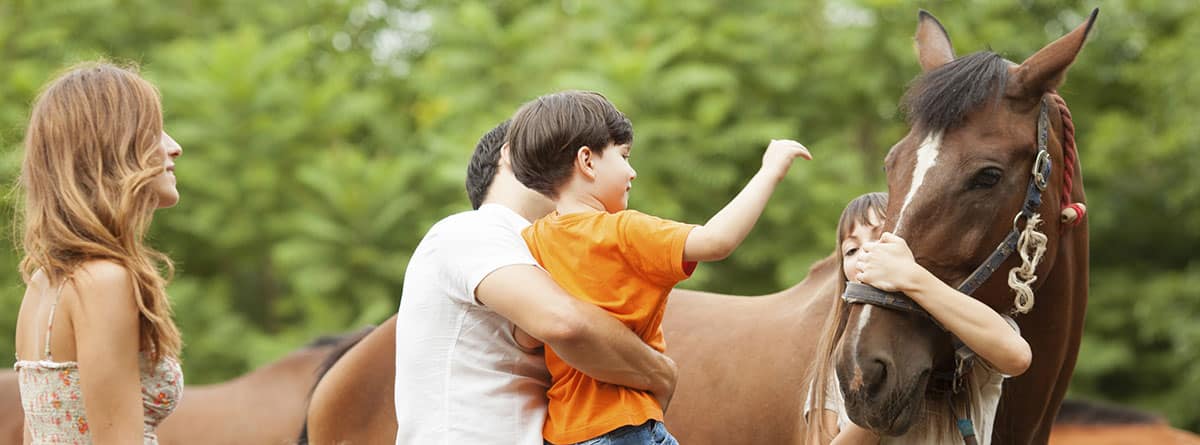 Equinoterapia, terapia con caballos