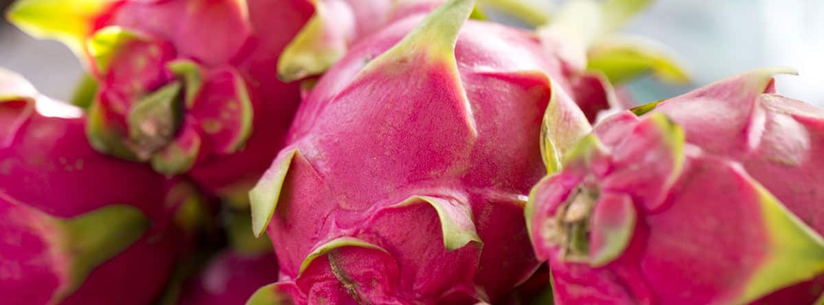 Beneficios de la pitahaya o fruta del dragón: fruta del drágon