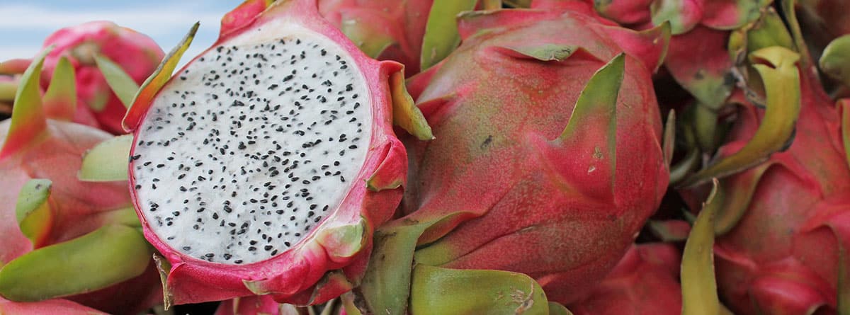 Pitahaya o fruta del dragón: pitahayas enteras y una partida por la mitad