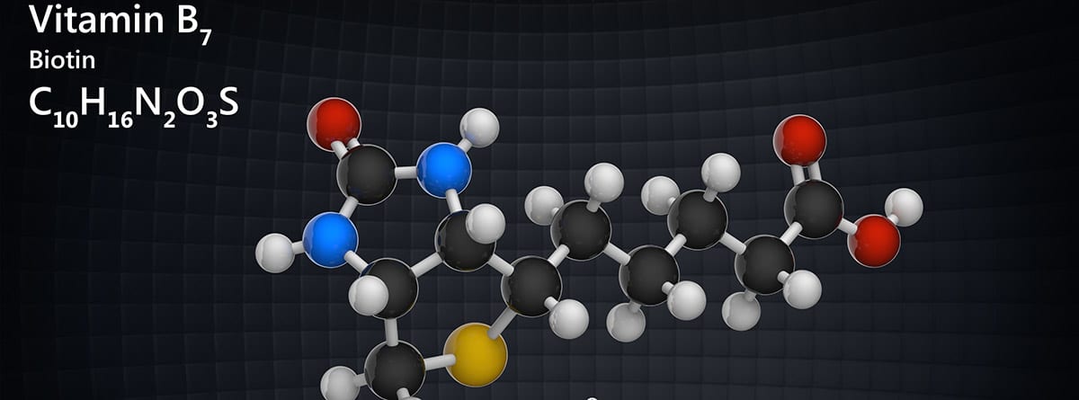 Biotina: molécula de biotina