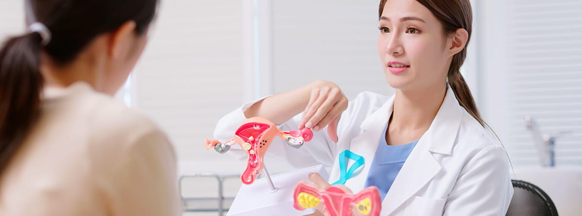 Clitoromegalia: qué es y cómo se cura. doctora asiática usa bata blanca con cinta verde azulado explicando el modelo de útero a la mujer en la clínica