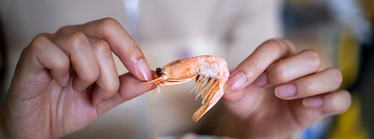 Beneficios nutricionales de la gamba: mujer comiendo una gamba