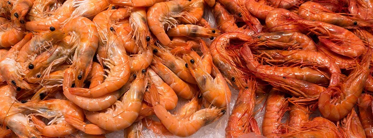 Beneficios para la salud de las gambas: gambas rojas