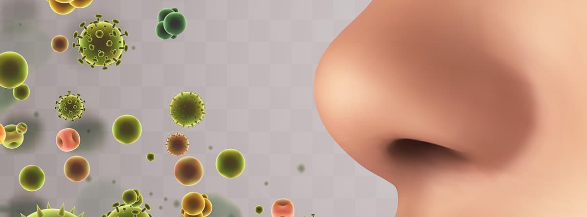 Picor de nariz: nariz y partículas, bacterias, virus.
