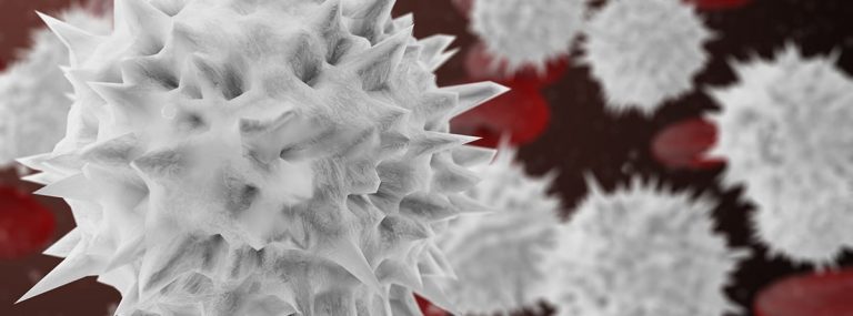 Qué enfermedades causan los leucocitos altos: imagen de leucocitos en sangre
