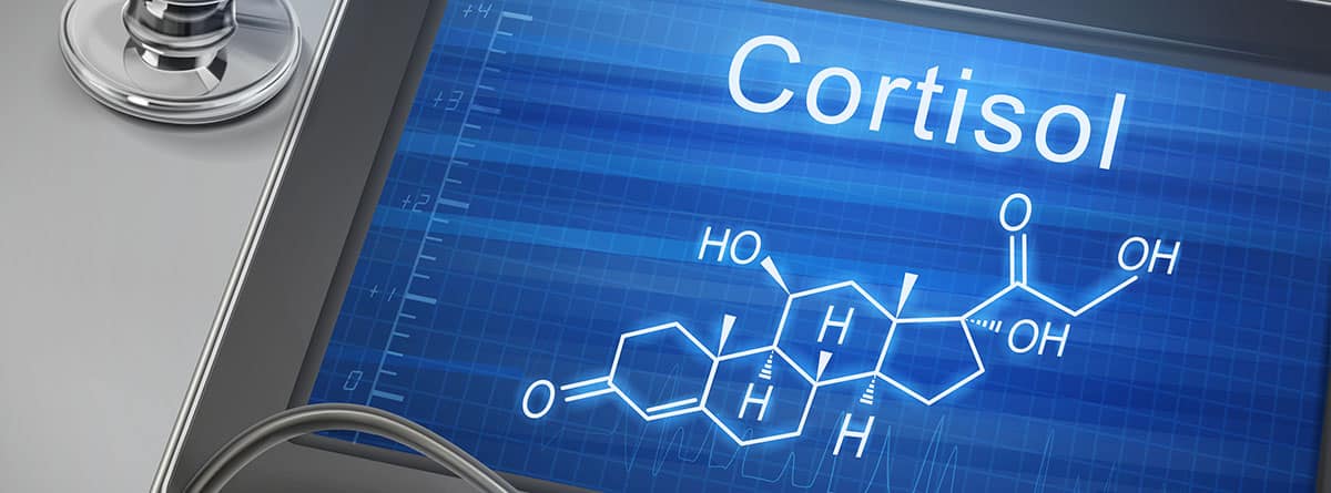 palabra de cortisol y molécula en tablet sobre una mesa mesa