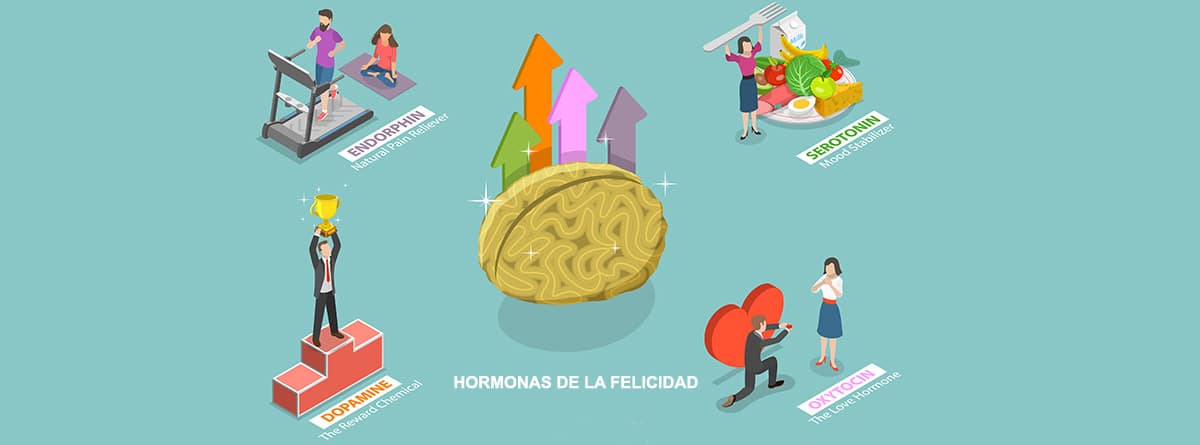 Ilustración de las hormonas de la felicidad, entre ellas la serotonina y la dopamina