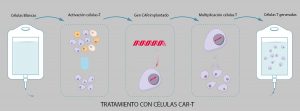 ilustración de Las células T receptoras de antígenos quiméricos (también conocidas como células T CAR) son células T que han sido modificadas genéticamente para producir un receptor de células T artificial para su uso en inmunoterapia.
