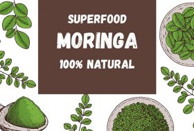 ilustración de moringa, hojas y molido