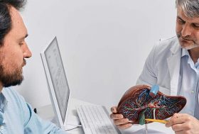 Médico con una maqueta de un hígado explicando a un paciente