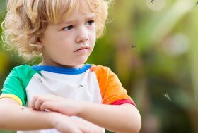 Bebé rascándose una picadura de mosquito