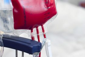 bolsa de transfusión de sangre