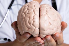 Mujer doctora sosteniendo una maqueta de cerebro humano
