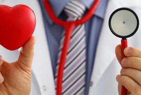 Cardiólogo con un estetoscopio y una maqueta de corazón