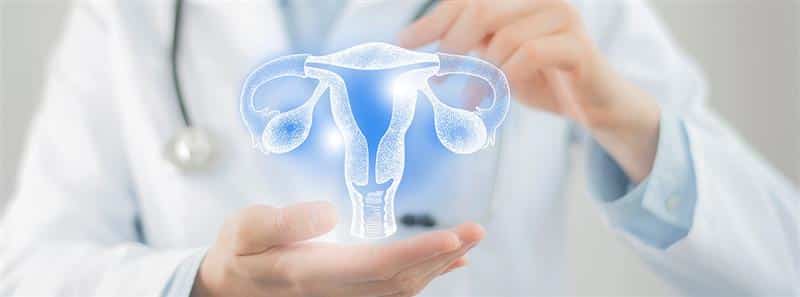 Ginecólogo con maqueta de aparato reproductor femenino