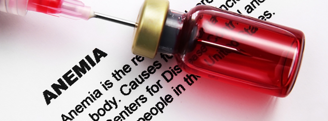 anemia ferropenica valores bioquimicos