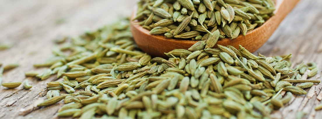 anis-verde-3