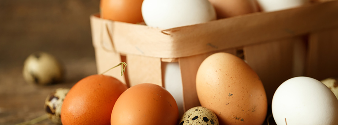 huevos-alimento-completo-3