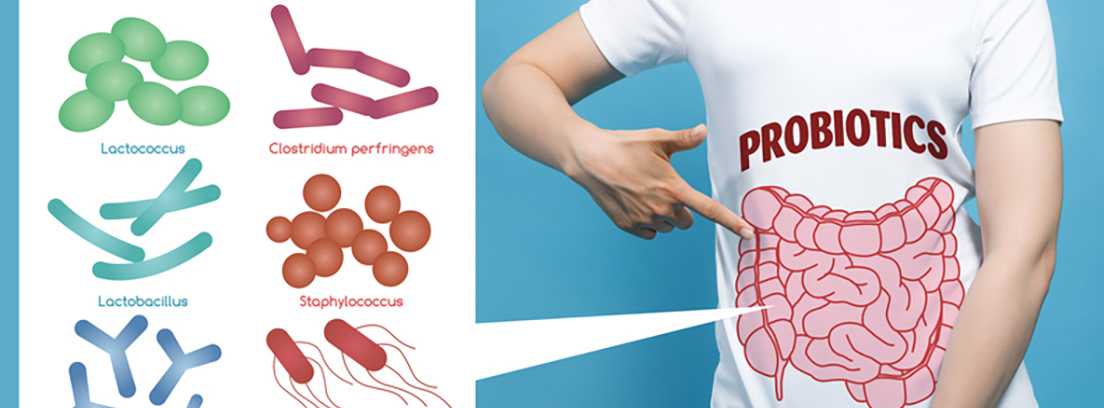 mejorar-flora-intestinal-3