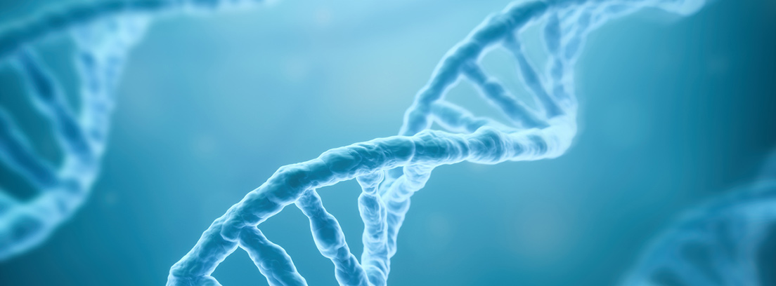 sindrome-x-fragil-2
