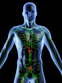 linfedema-hematologia