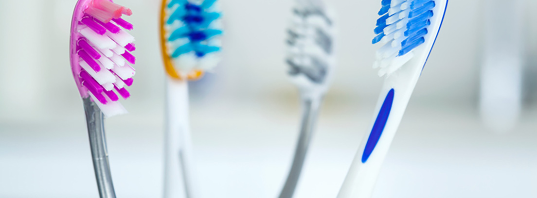 tecnica-bass-cepillado-dental-1