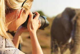 Una chica rubia le hace una foto a un elefante