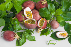 pasiflora-naturopatia-fruto
