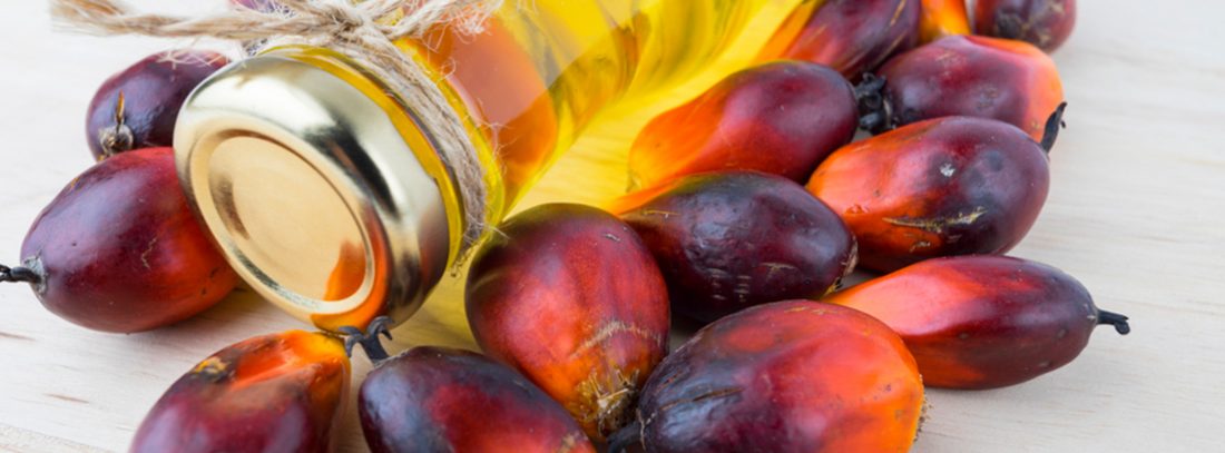 aceite de palma salud aceite de palma salud