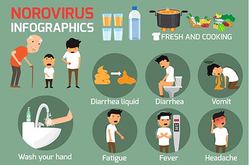 infografía síntomas norovirus Enfermedades infecciosas - ¿qué es el norovirus?