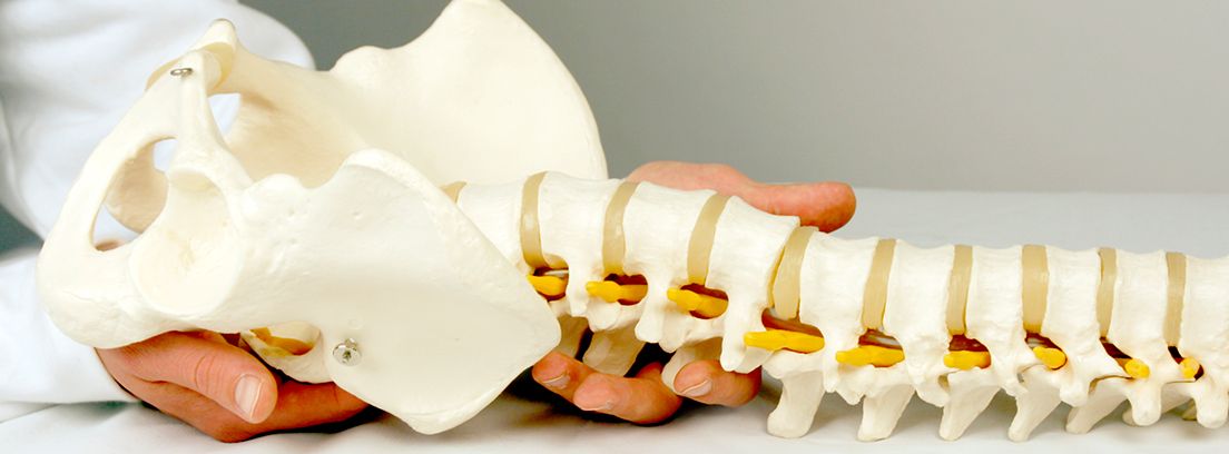 Dolencias de la columna vertebral colimna vertebral sujeta por unas manos