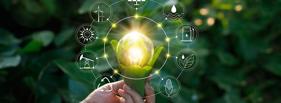 naturaleza-y-salud bombilla dentro de una planta y alrededor símbolos de la naturaleza