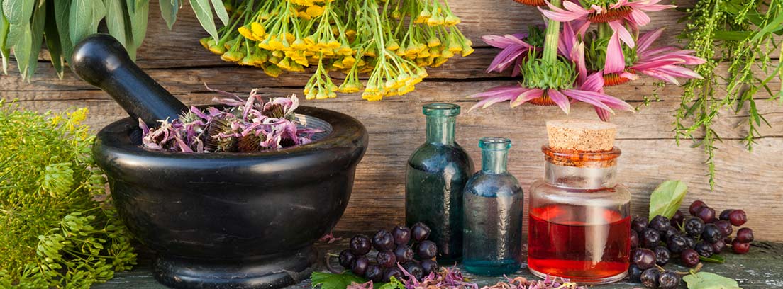 fitoterapia diferentes plantas medicinales, mortero negro y frasquitos medicinales