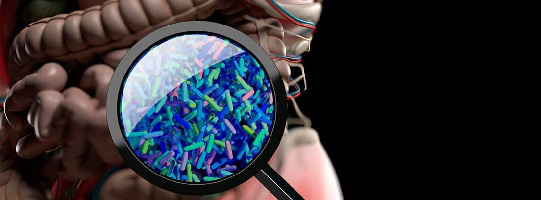 SIBO: bacterias en el intestino delgado