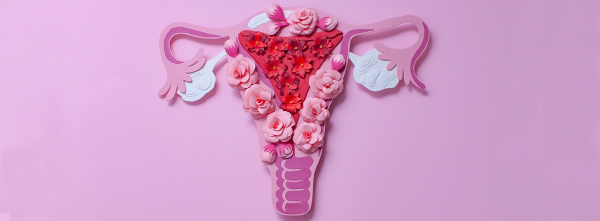 progesterona y estrogenos hormonas mujer