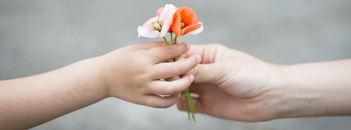 apego1 Apego, base del equilibrio emocional: manos de adulto y niño unidas por unas amapolas
