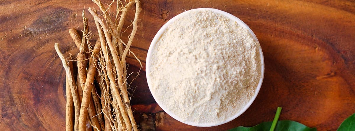 Ashwagandha Raíces de Ashwagandha y polvo conocido en un tazón blanco cobre fondo de madera