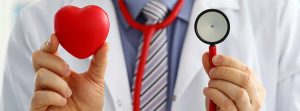 Cardiólogo con un estetoscopio y una maqueta de corazón