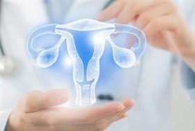 Ginecólogo con maqueta de aparato reproductor femenino