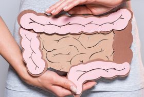 Mujer con maqueta de papel del aparato digestivo humano