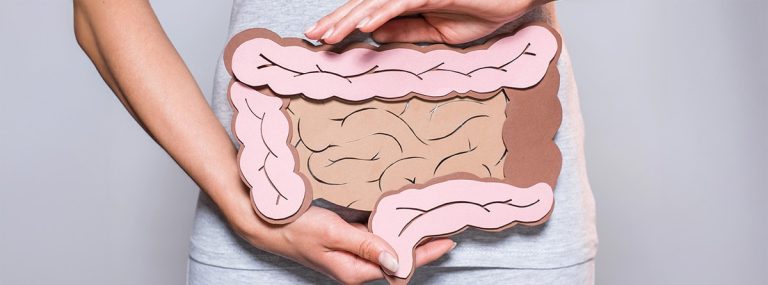 Mujer con maqueta de papel del aparato digestivo humano