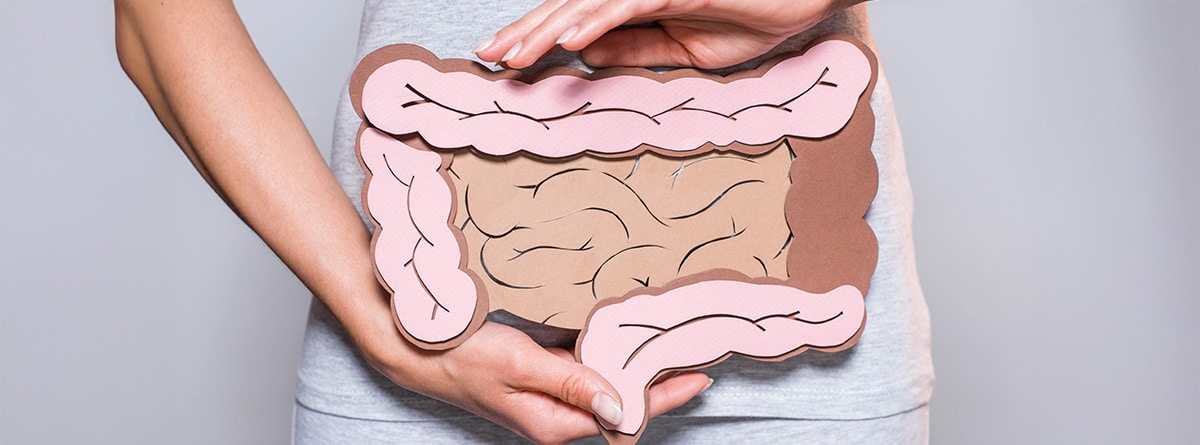 Síndrome del intestino corto Mujer con maqueta de papel del aparato digestivo humano