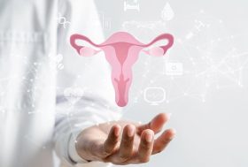 Maqueta del aparato reproductor femenino